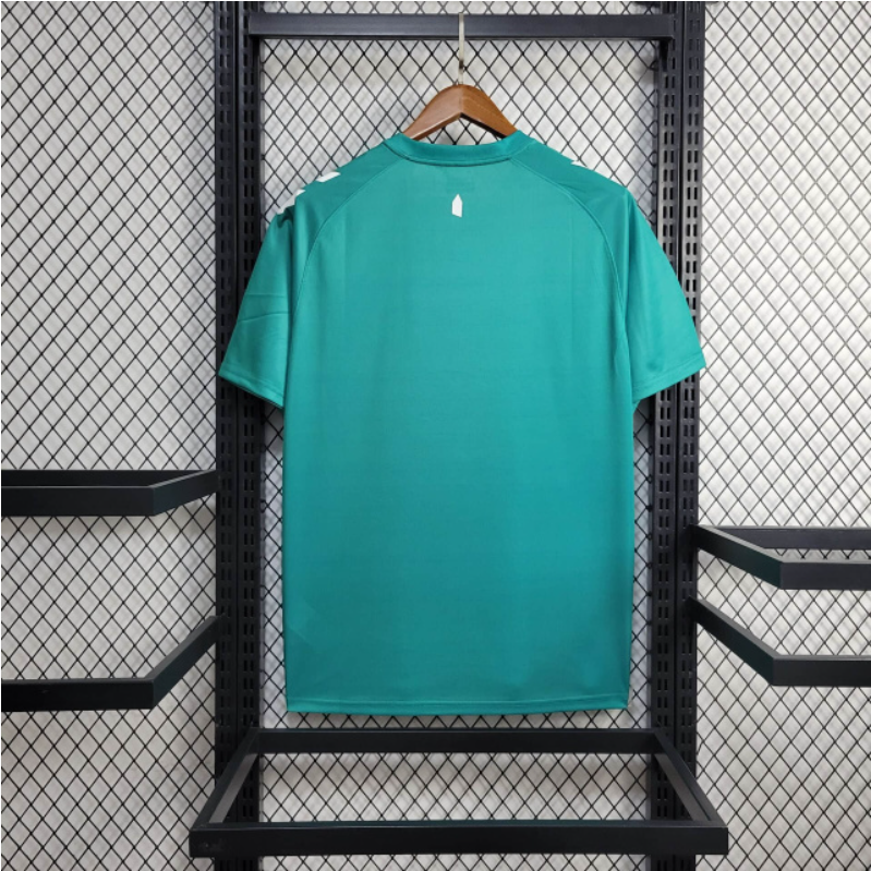 CAMISA EWERTON 24/25 VERDE